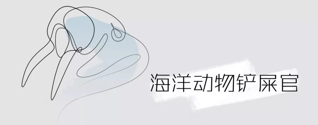 真的要吃海星吗——多棘海盘车