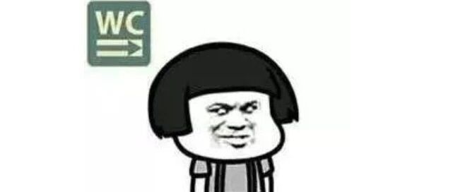 13万个旅游厕所上线！春节出行不尴尬