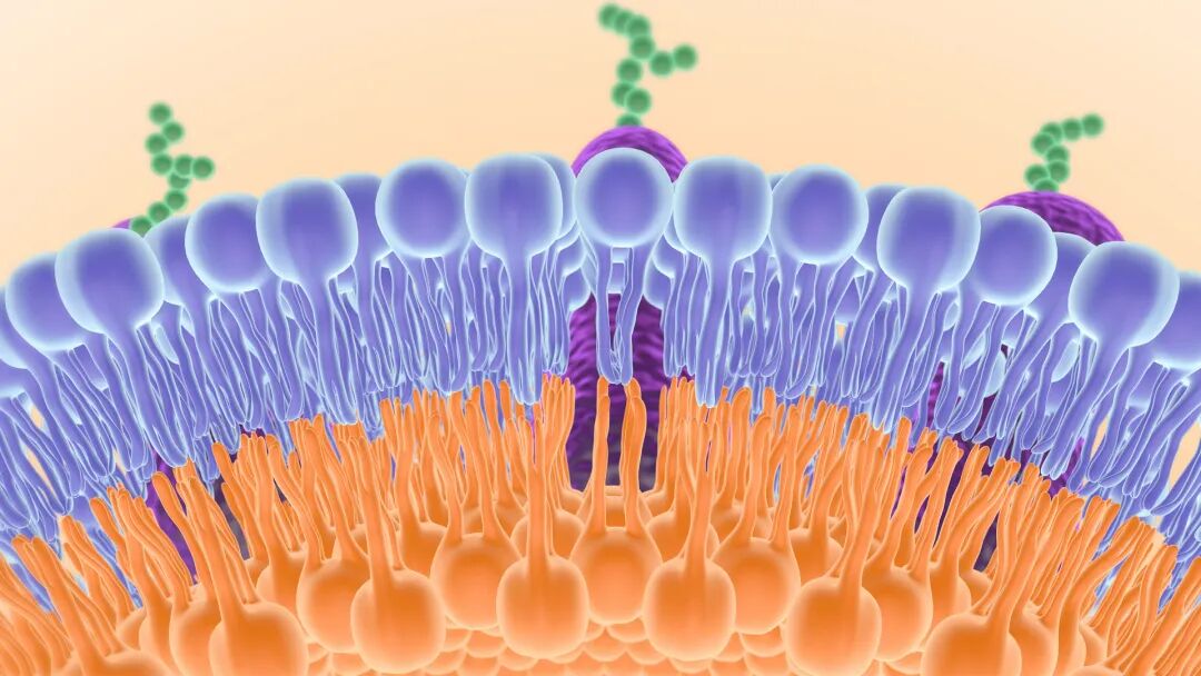 微波炉还只拿来热剩饭？你错过了它99%的功能！