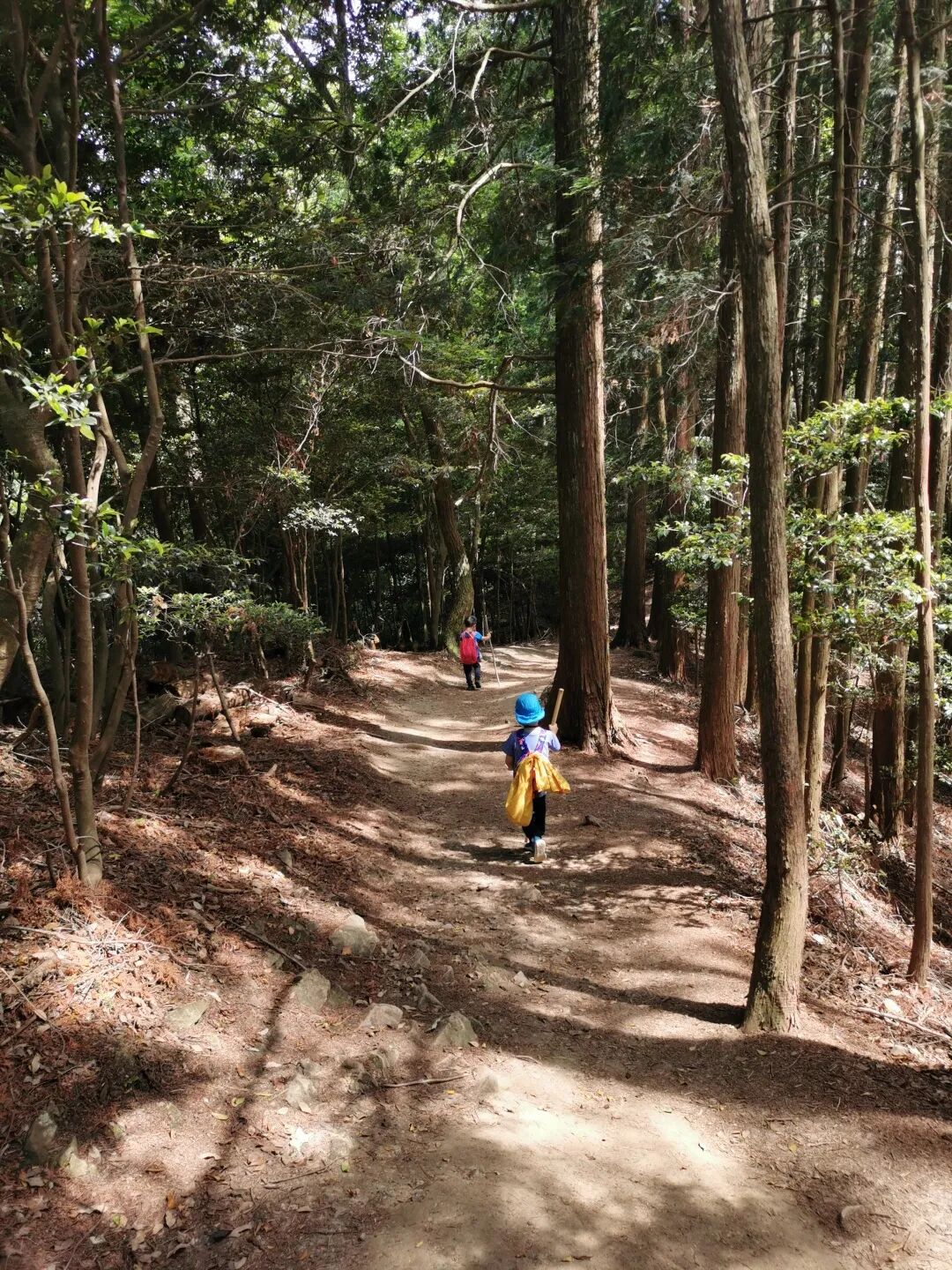 【深度大兴安岭】玩转：漠河北极村、龙江第‬一湾、五大连池，纯玩6天！0自费0购物！