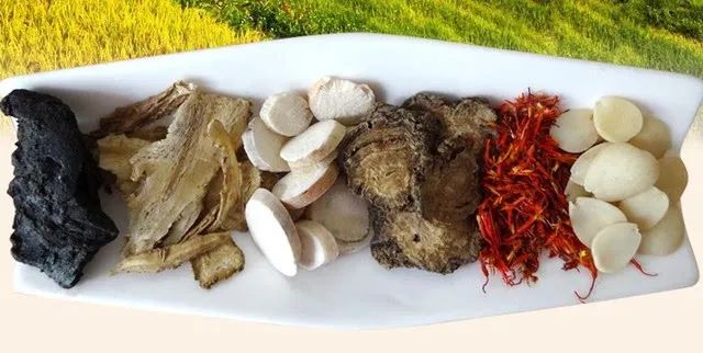 每天两首中药方剂（5）：桃红四物汤、乌头汤