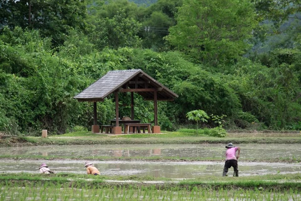 稻田里的農場民宿：舊原木＋傳統工藝，打造最有質感的生態民宿 家居 第19張