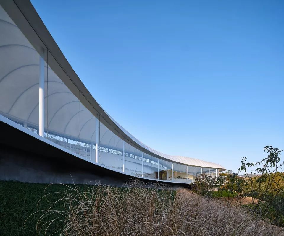 现代膜结构创新设计案例展示