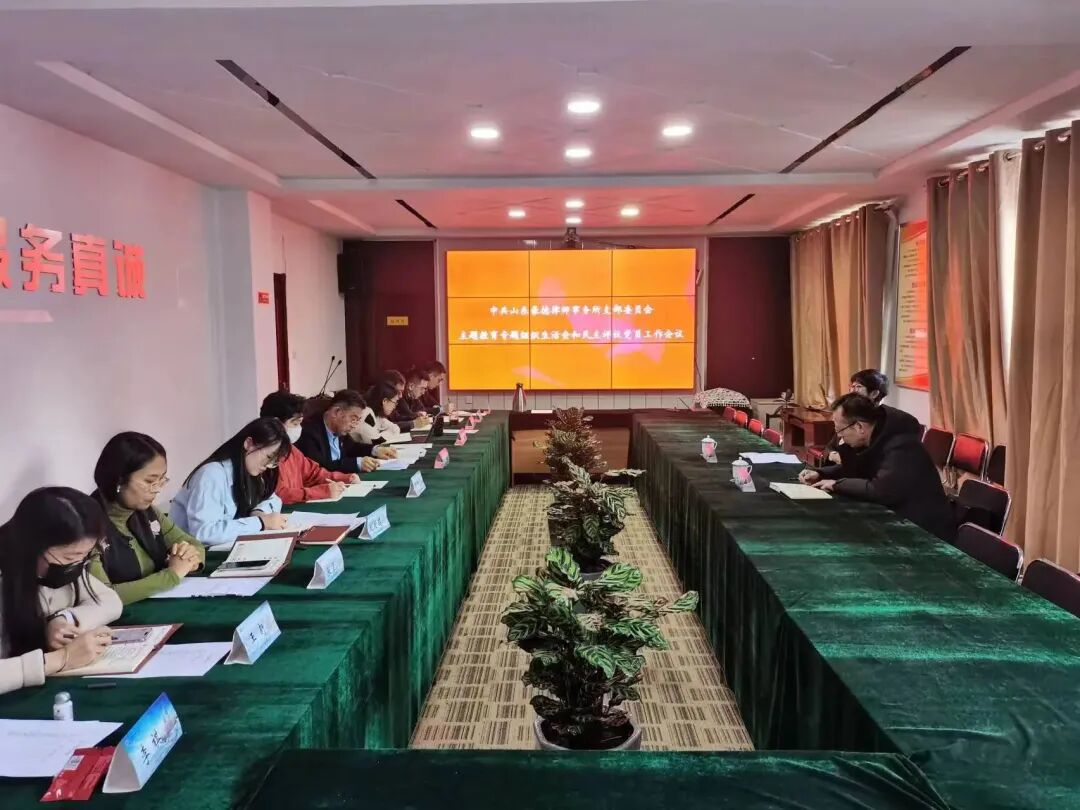 山东豪德律师事务党支部召开主题教育专题组织生活会和民主评议党员会议