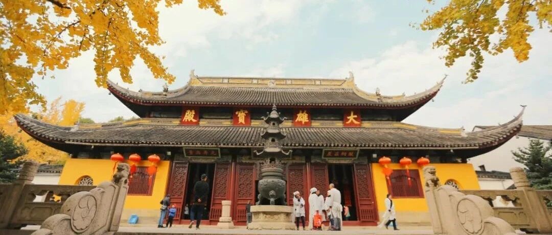 抓住2021银杏季的尾巴，来西园寺邂逅最后一抹秋色