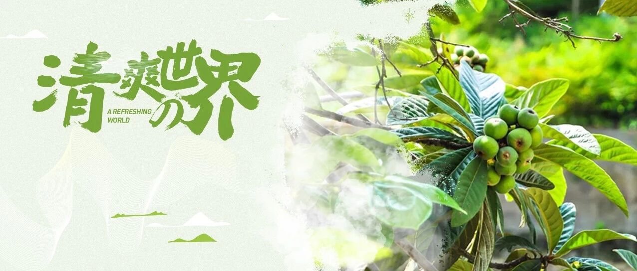 苏州10个初夏清凉圣地！清泉竹海、湖光山色…挑一个出发吧！