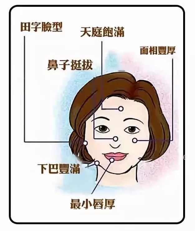 女人面相学图解，全方位了解你的富贵！