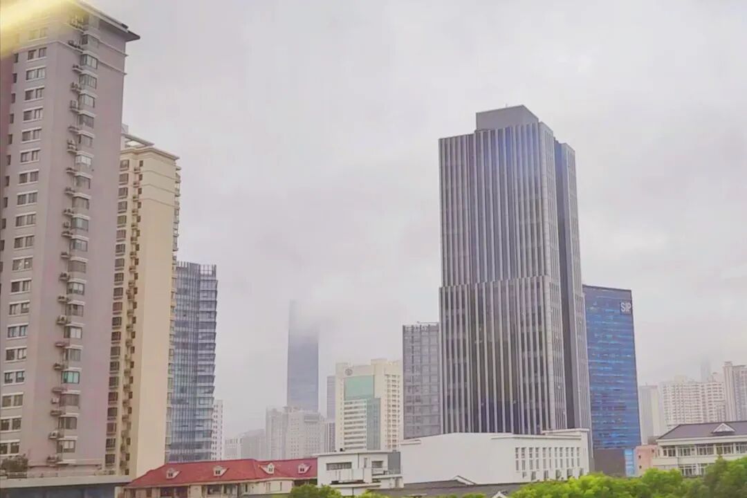 包含首都醫(yī)科大學(xué)附屬兒童醫(yī)院黃牛預(yù)約掛號解惑黃牛票販子電話的詞條