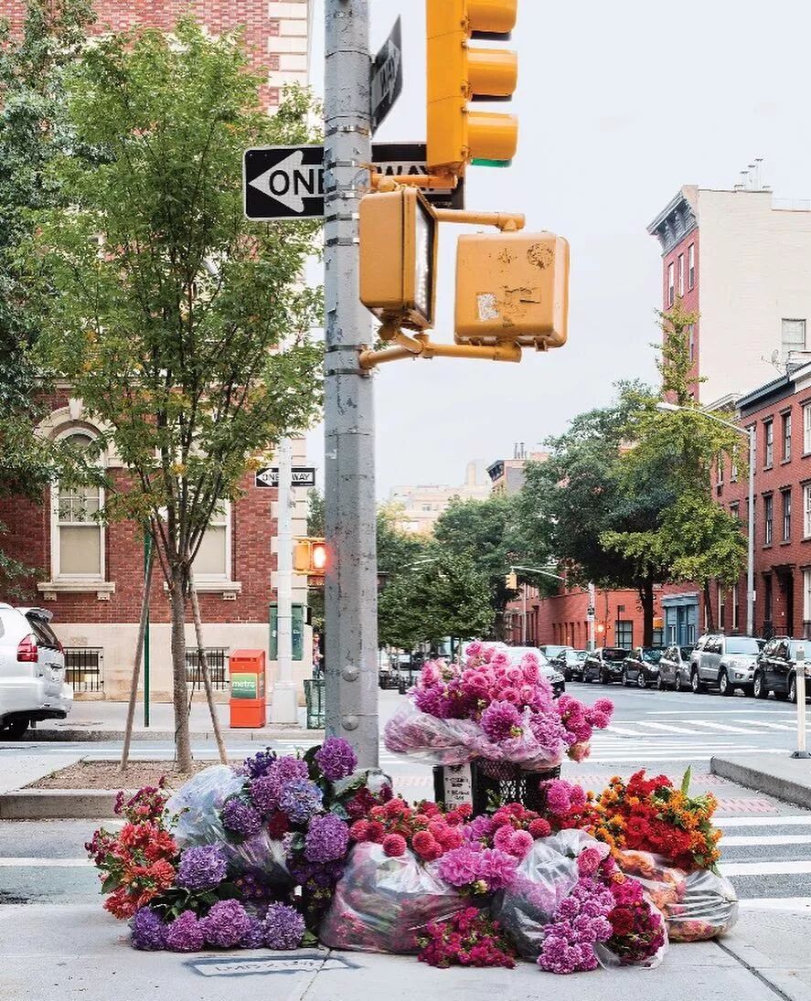 在纽约街头，用垃圾桶为市民插花的花艺大师