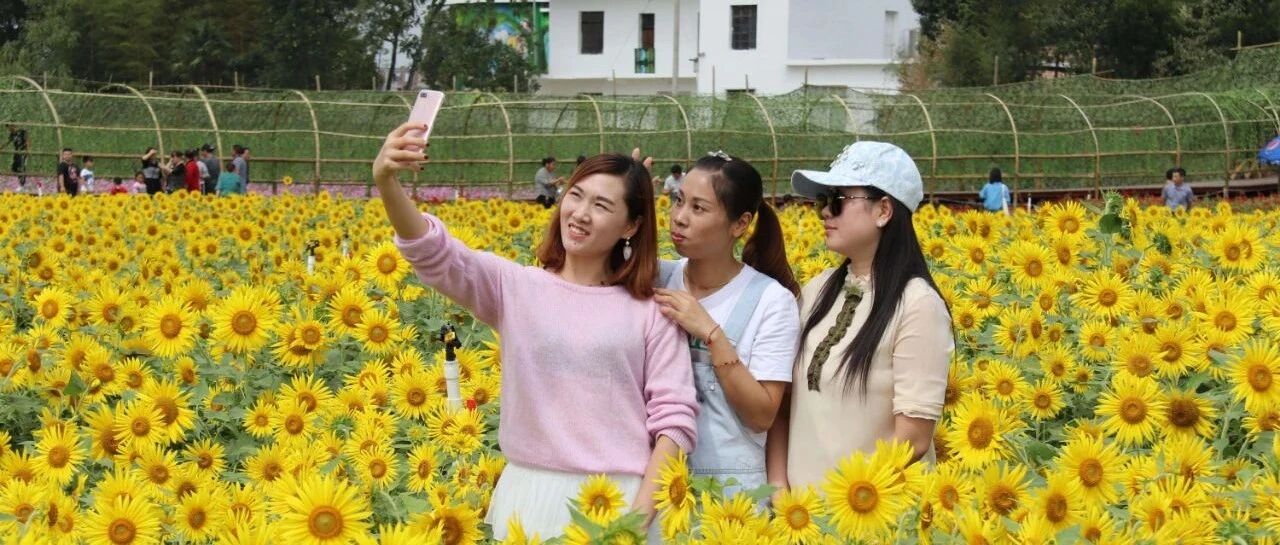 新出行，带动文旅产业升级 | “十三五”辉煌成就