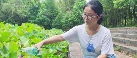 对高分学考古指指点点的人，大概不懂得“梦想” | 睡前聊一会儿