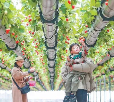 振兴乡村项目计划书样本_振兴乡村项目计划书_乡村振兴怎么振兴的