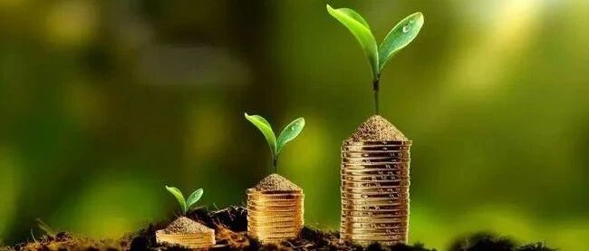 用金融“活水”浇灌科创之树