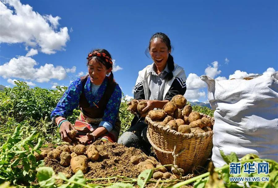 脫貧攻堅脫貧制度_脫貧攻堅心得體會_脫貧攻堅的工作措施