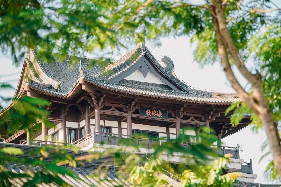 新增两大文化*！广州今年有这些好消息！