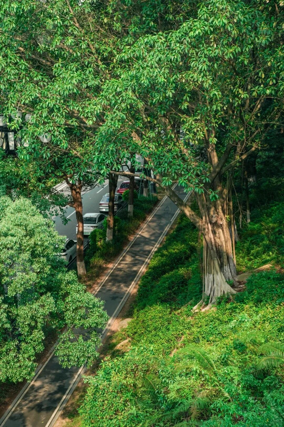 图源/背着相机去行走