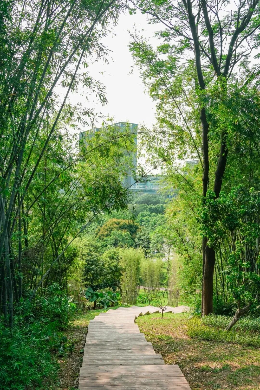图源/背着相机去行走