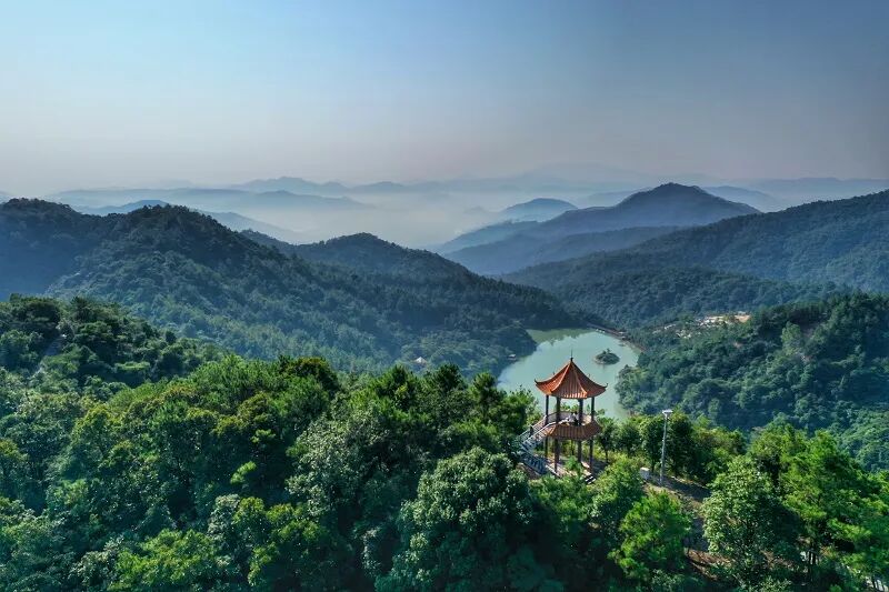 好消息！广州谋划新建10个公园，在不在你家门口……