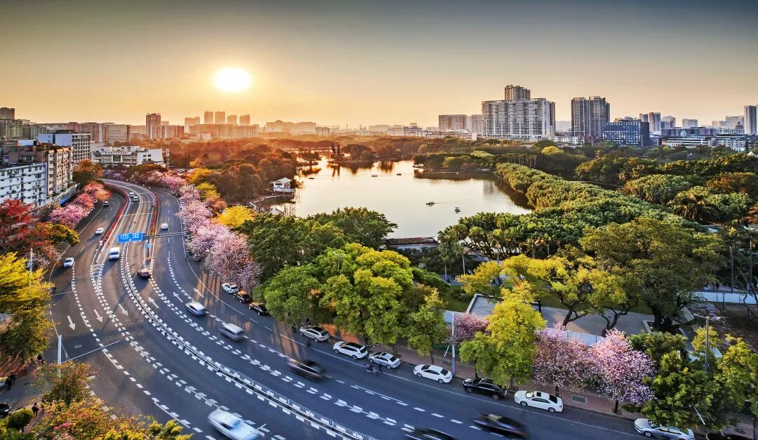 好消息！广州谋划新建10个公园，在不在你家门口……