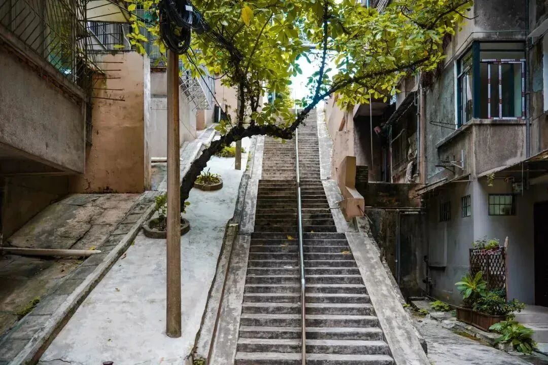 图/GZphotos 图片拍摄：吴子良