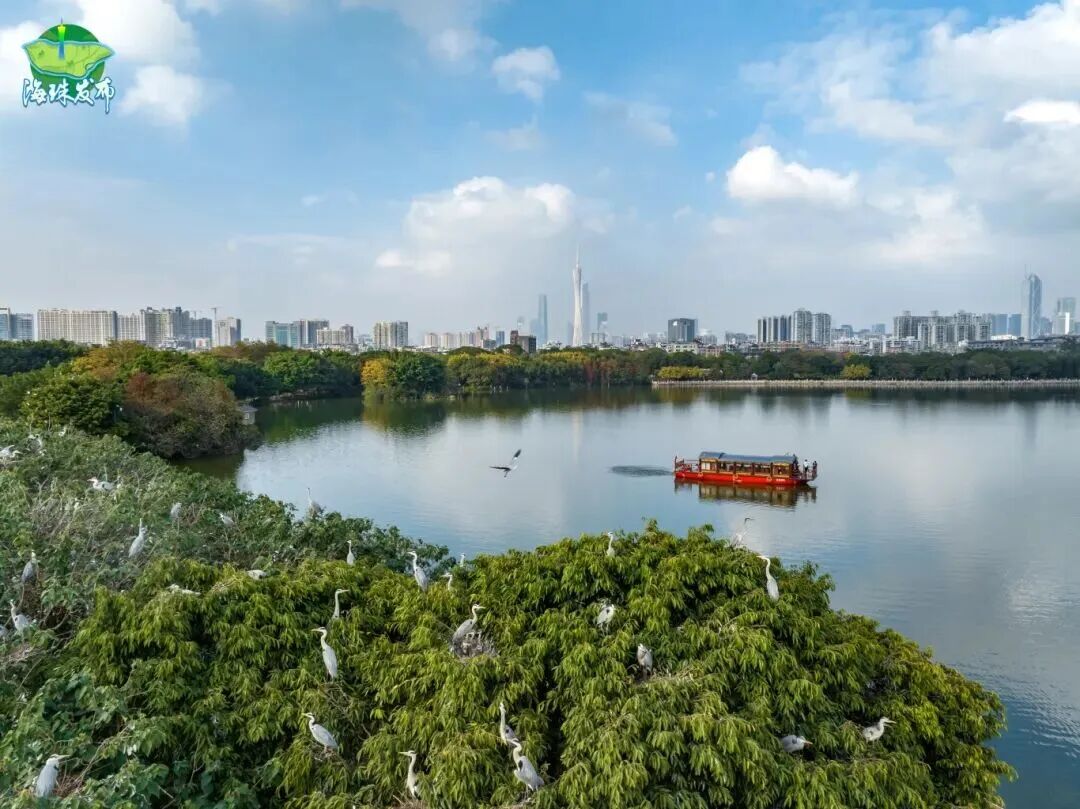 海珠湿地.jpg