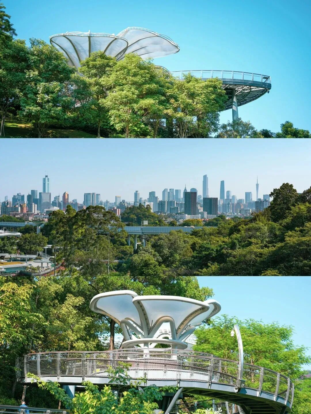 暑假广州游丨看花城地标的另一种打开方式_2_云萝植物园_来自小红书网页版 (1).jpg