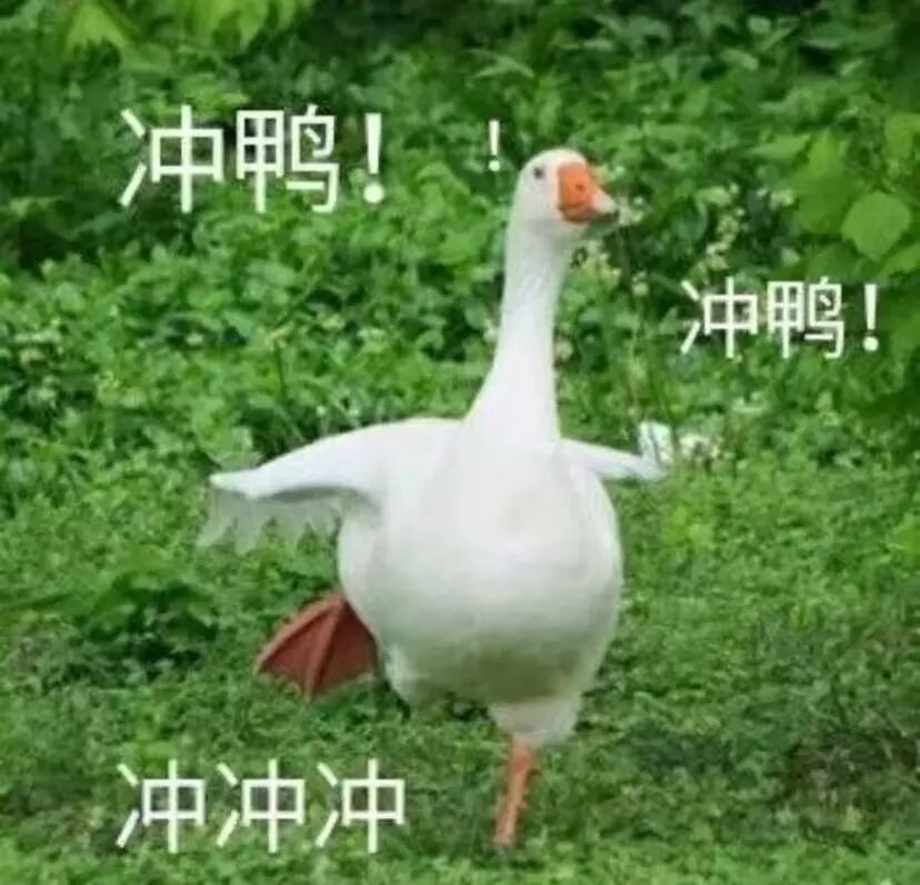9a6258018e1364e115503cafcad3d980.jpg