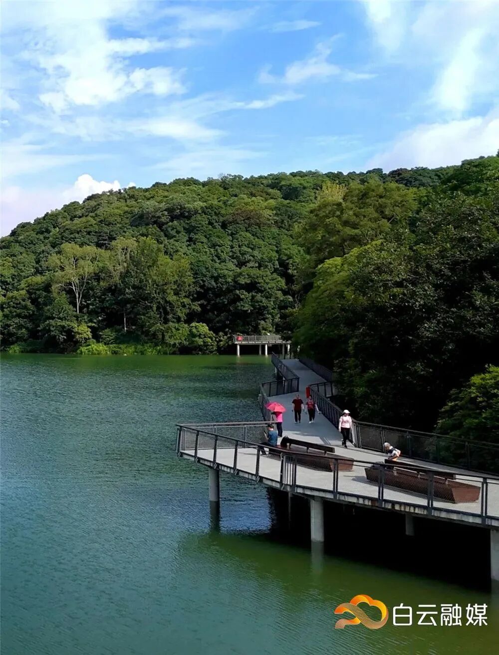 图/广州白云发布