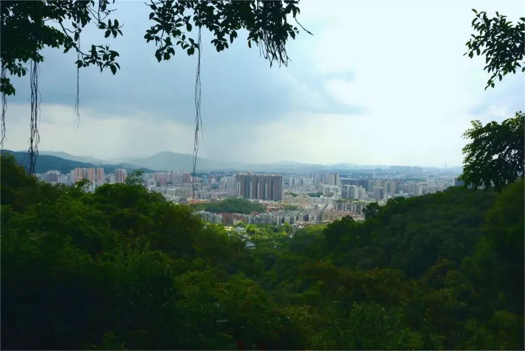 图/广州白云山风景名胜区服务号