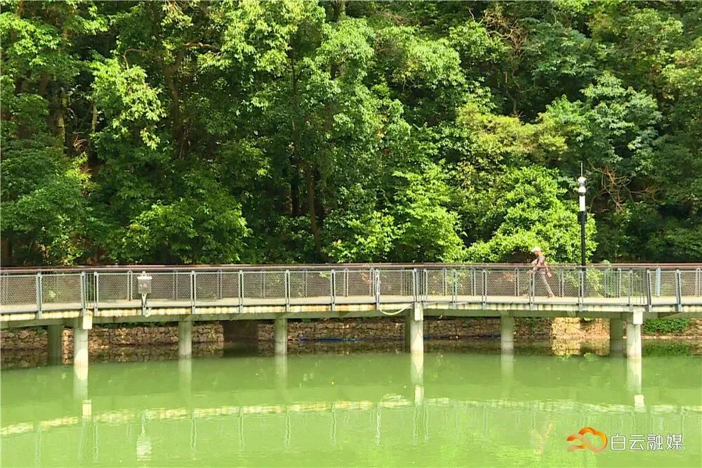 图/广州白云发布