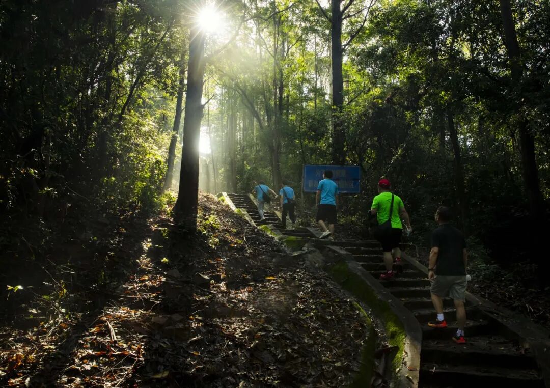 资料图片/广州白云发布