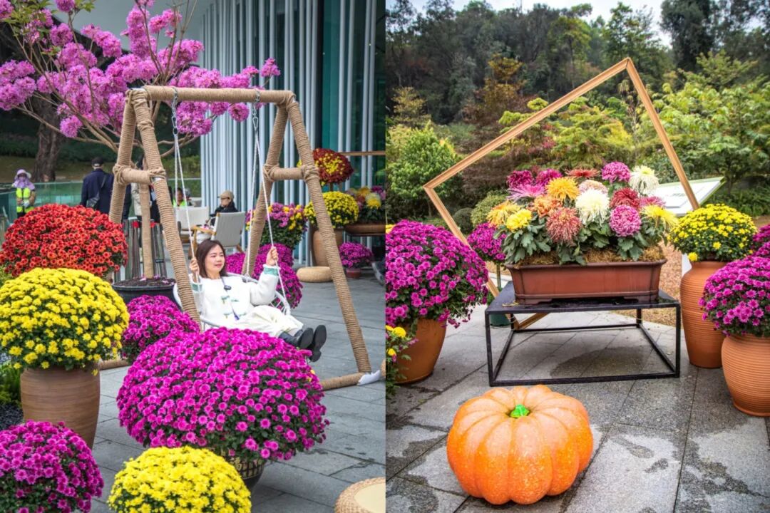 容器花园  图/中国广州发布