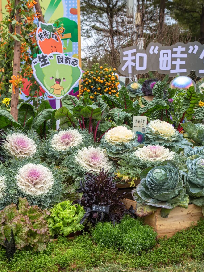 图/中国广州发布