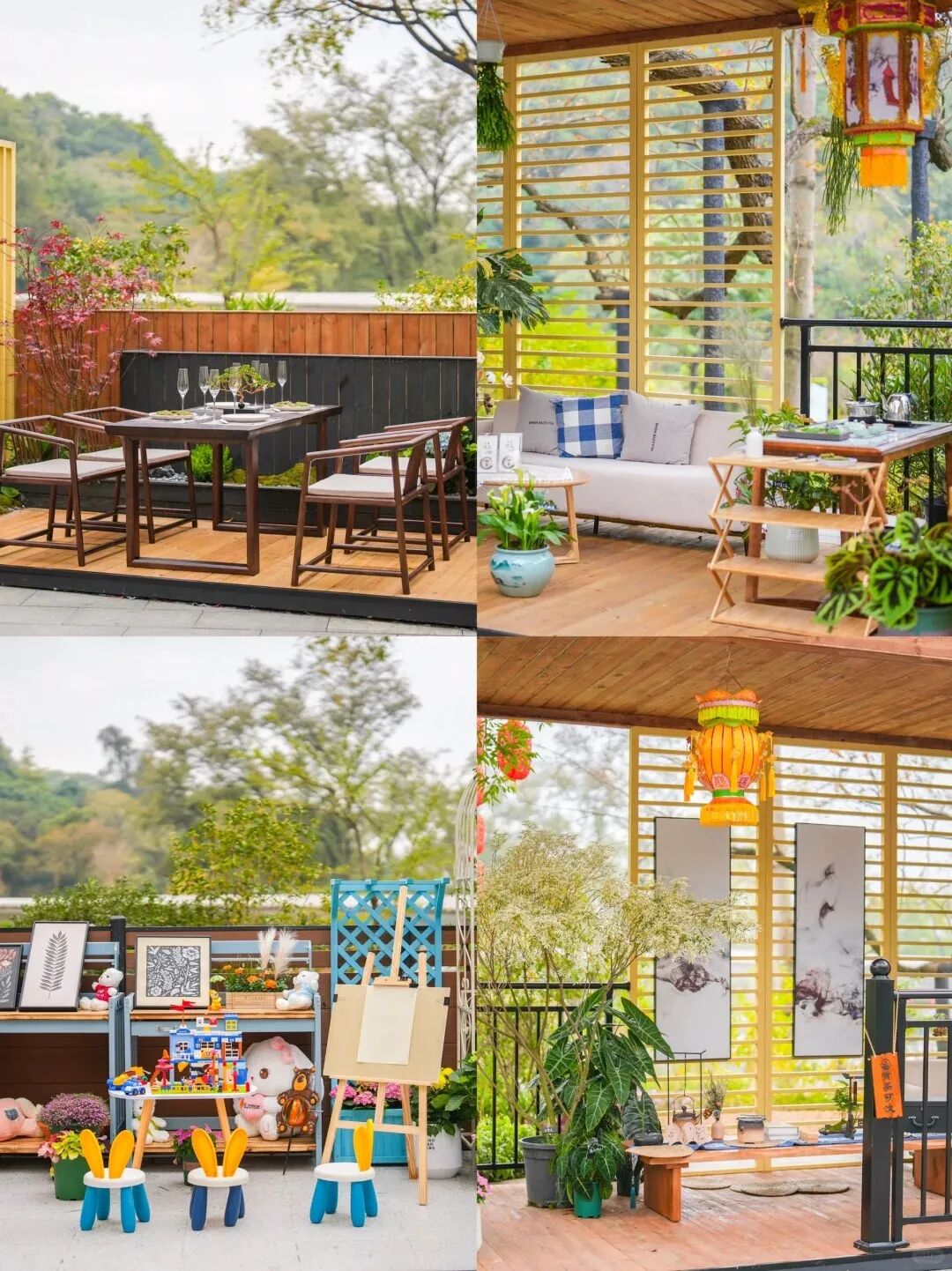 绿美阳台 图/云溪植物园