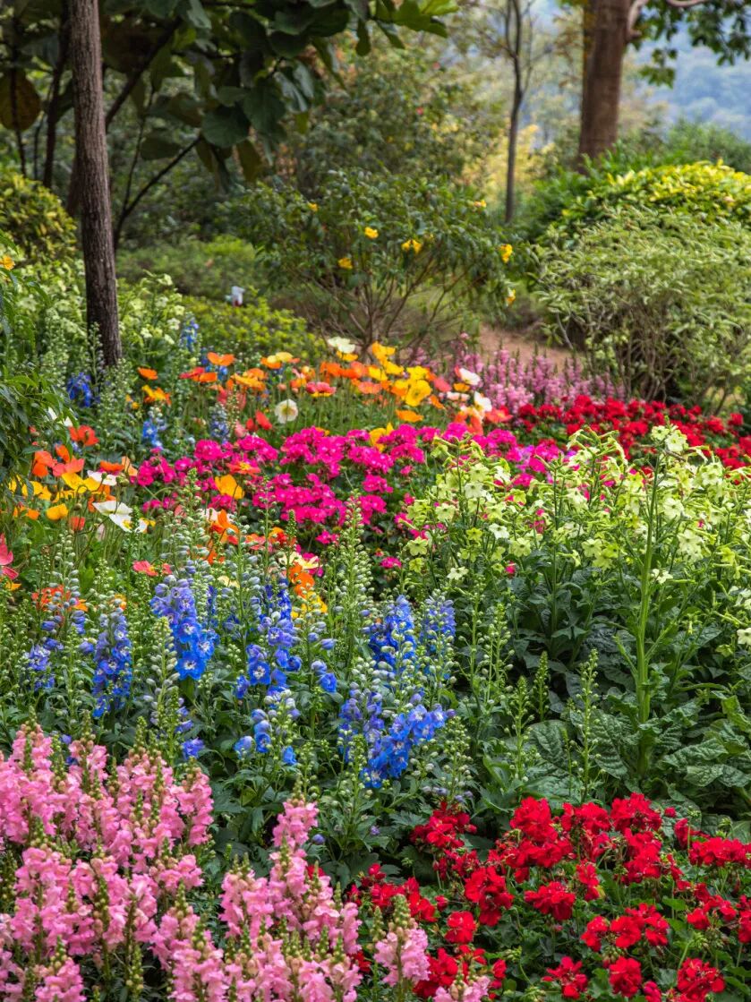 图/中国广州发布