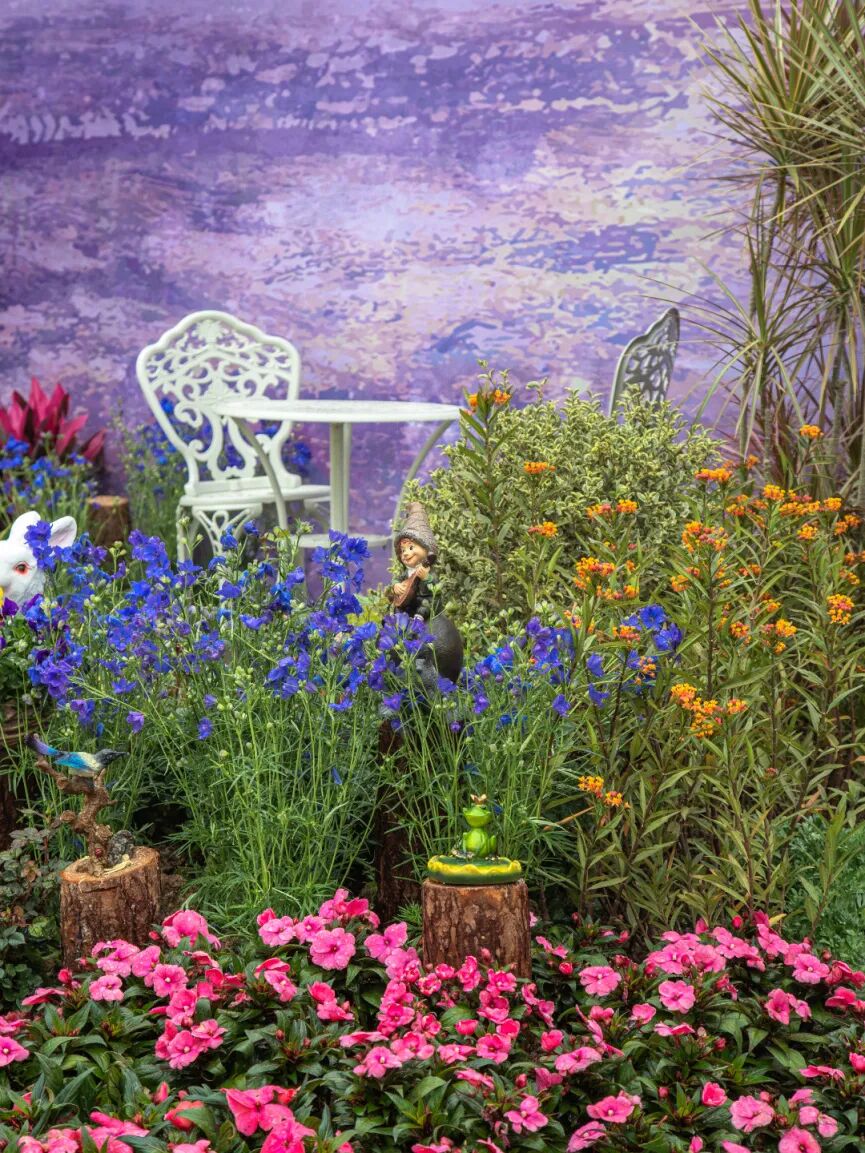 图/中国广州发布