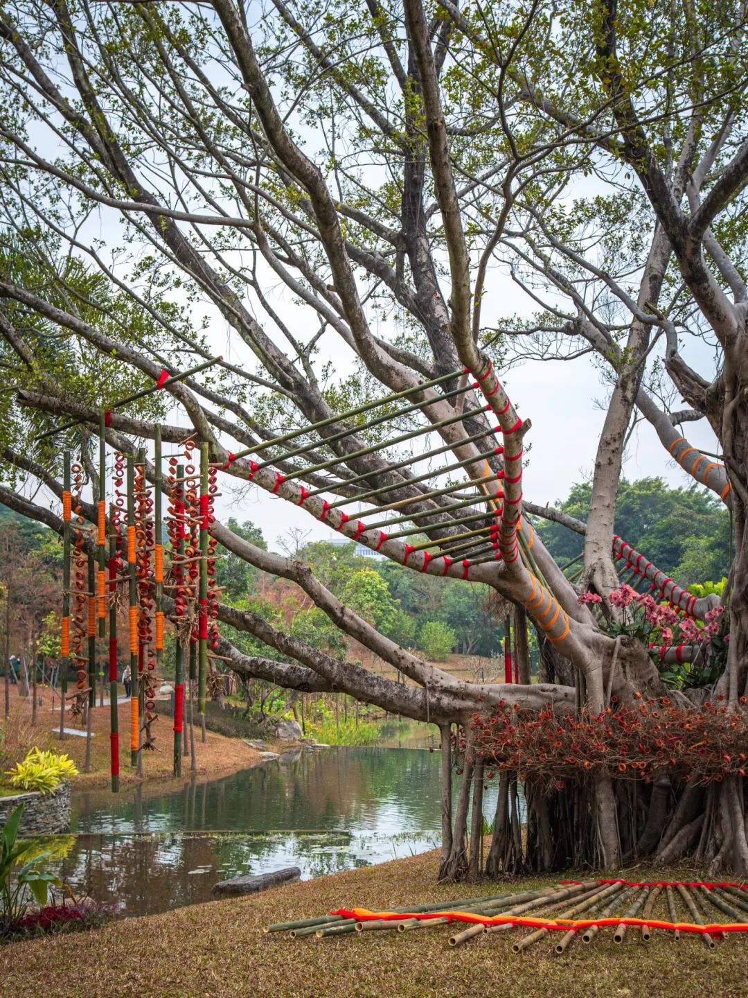 花卉艺术展《色彩的拥抱》图/中国广州发布