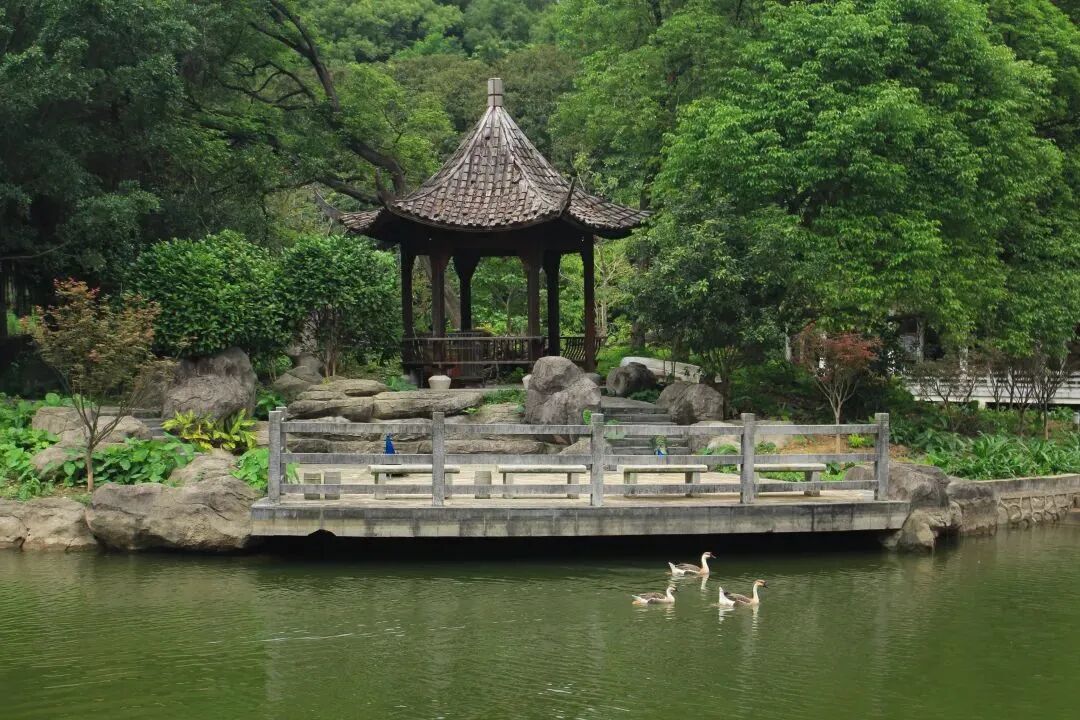 图片来源：广州市帽峰山景区