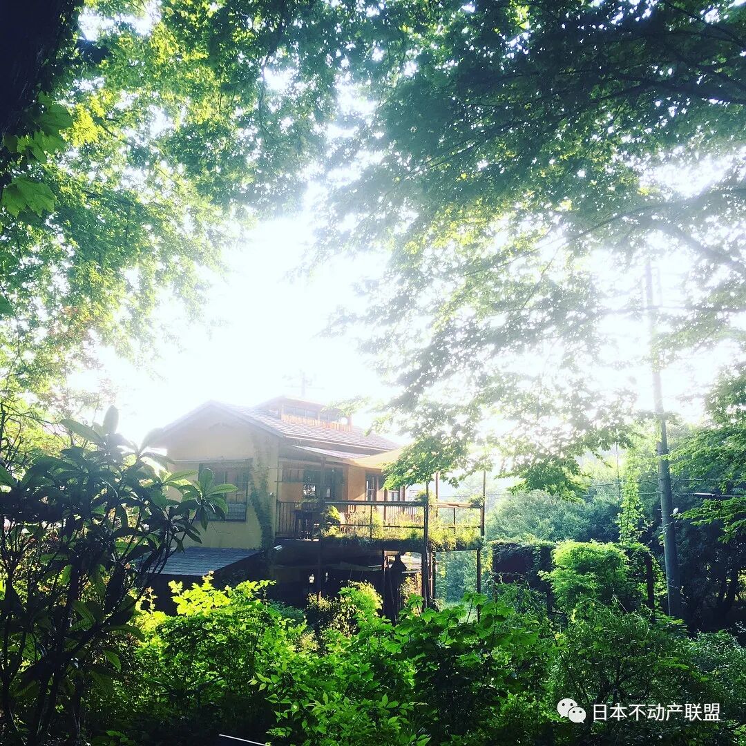 千叶投资 日本首都圈有这样一座城市 植树就能获得住房贷款优惠 附小编心水咖啡厅推荐 自由微信 Freewechat