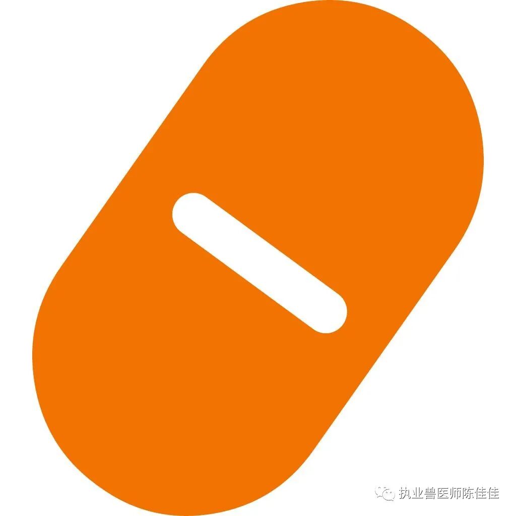 海龟医疗怎么样海龟经壳肠穿刺抽气治疗浮水_https://www.jmylbn.com_新闻资讯_第6张