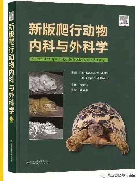 动物怎么麻醉爬行动物局部麻醉与脊髓麻醉_https://www.jmylbn.com_新闻资讯_第32张