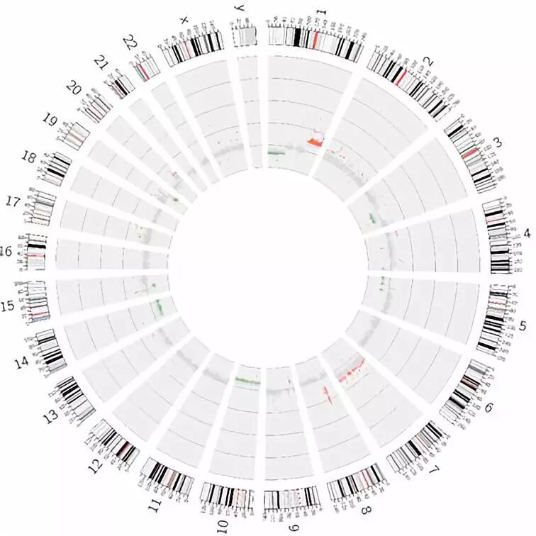 基因检测全是野生型好是不好-[热点解读] PD-1获批之后  神经系统肿瘤精准医疗如何“落地” |神经肿瘤周刊第12期