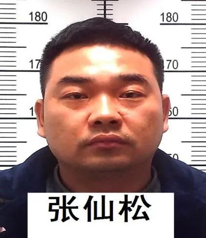 最高奖励10万元合肥警方公开征集张凯等人违法犯罪线索