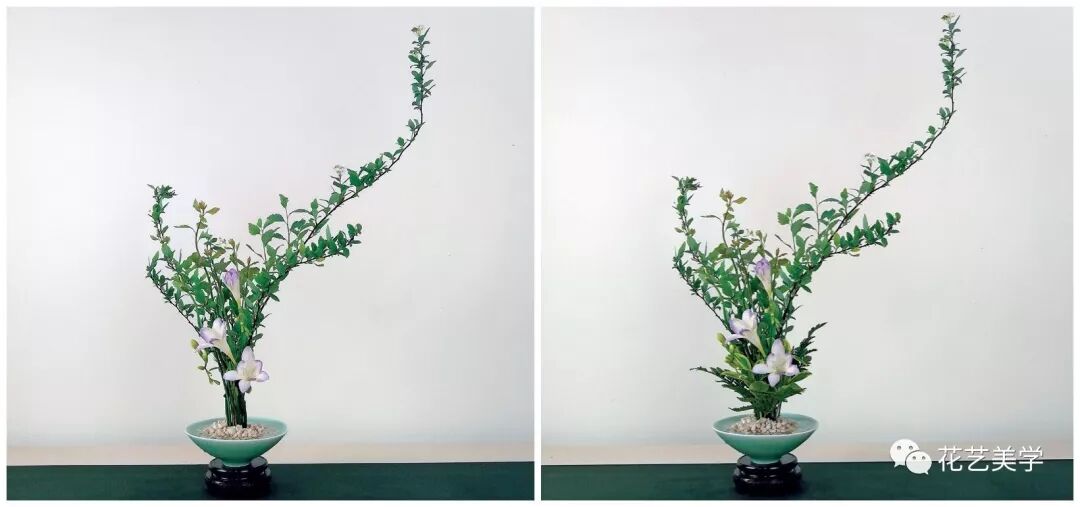 一茶席，无花不美，有花则仙