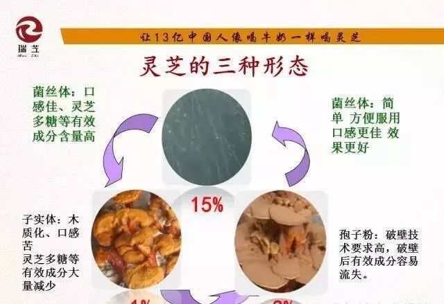 震惊 灵芝菌粉能当早中晚餐 还可调病喔 我们只需换个观念吃就可以让身体健康棒棒哒 健康快乐生活网