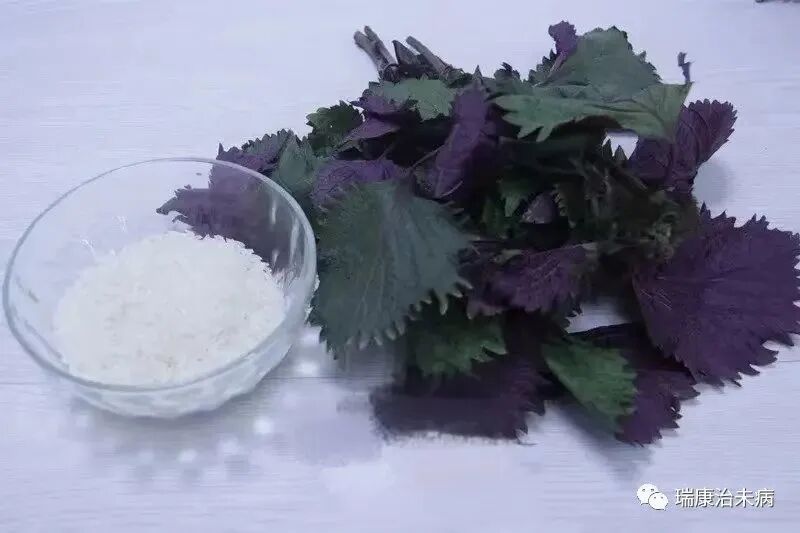 【功效】疏散风热,通利鼻窍,适用于易感冒,患慢性鼻炎,过敏性鼻炎等