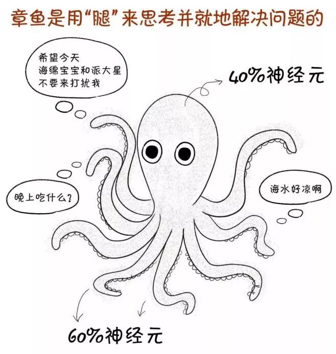 风口上的边缘计算，能推动物联网应用深度变革吗？