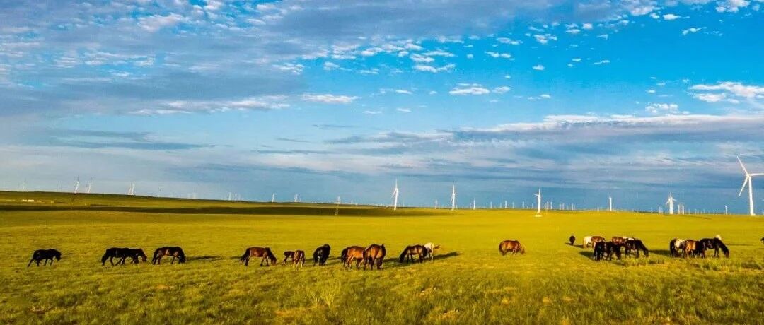 即日起，暂停！