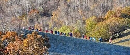 6.37亿人次游客，同比恢复八成！后疫情时代国庆中秋假期有何不同，大数据告诉你→