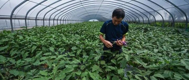 五大信披媒体要点集萃丨国常会：帮助市场主体纾困 努力化解民生堵点痛点；助力科技自立自强 资本市场滋养创新力量